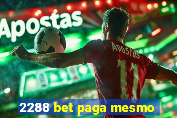 2288 bet paga mesmo